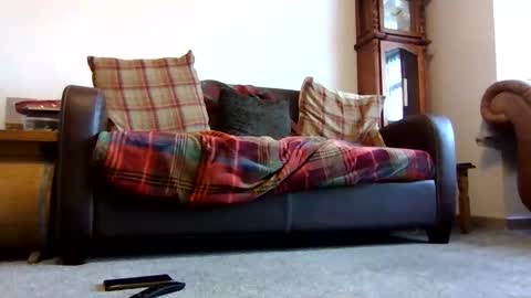 Snapshot of letmestrip chatting on February 9, 9:02 am paul online show from February 9, 9:02 am