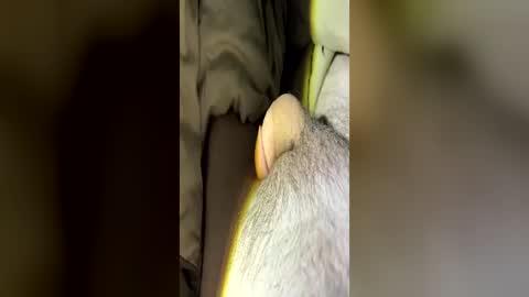 letsfucktn22 online show from June 29, 7:25 am