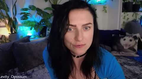 Levity online show from November 11, 11:05 pm