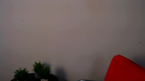 Snapshot of lexi_jos chatting on May 15, 11:17 am Alexia online show from May 15, 11:17 am