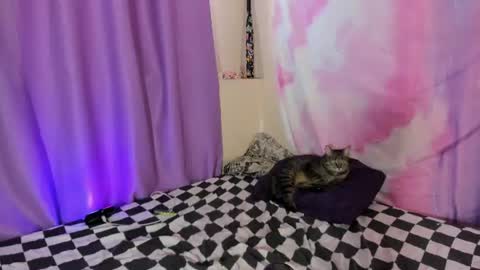 LexxxY online show from August 1, 7:07 am