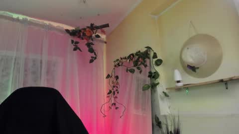   online show from December 14, 2:34 am