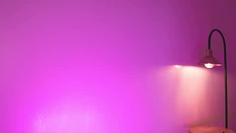 Snapshot of lia_mackenzie chatting on December 3, 7:45 pm liaa online show from December 3, 7:45 pm