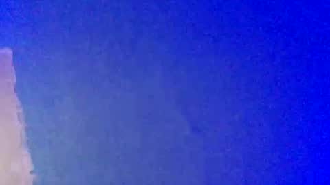 LickYourYoni online show from February 22, 3:36 pm