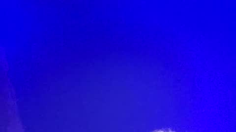 LickYourYoni online show from March 3, 2:48 pm