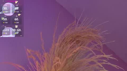 Liiam Luna online show from January 14, 9:04 am