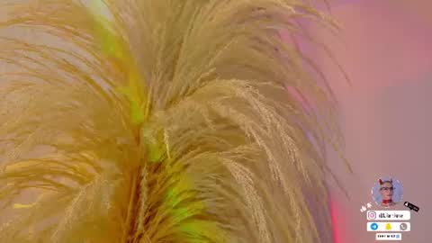 Snapshot of liiamluna chatting on June 30, 11:00 am Liiam Luna online show from June 30, 11:00 am
