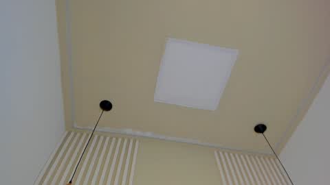 Snapshot of lila_cohen chatting on January 14, 12:00 am L I L A online show from January 14, 12:00 am