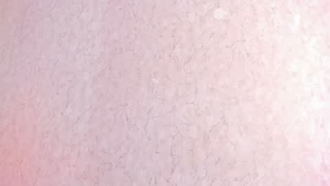 Snapshot of lila_cohen chatting on February 4, 6:38 pm L I L A online show from February 4, 6:38 pm