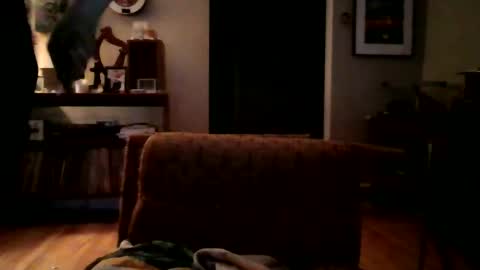 Snapshot of lildeer1980 chatting on January 8, 8:16 am lildeer1980 online show from January 8, 8:16 am