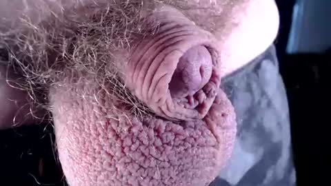 Snapshot of lildickbigbelly chatting on July 6, 7:16 pm lildickbigbelly online show from July 6, 7:16 pm