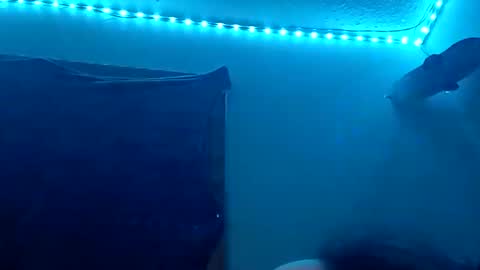 lildman420 online show from November 12, 8:48 am