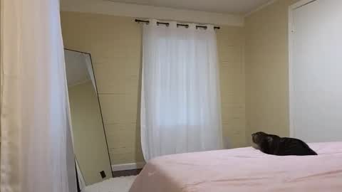 Snapshot of lilly_adams88 chatting on May 21, 10:28 pm lilly_adams88 online show from May 21, 10:28 pm