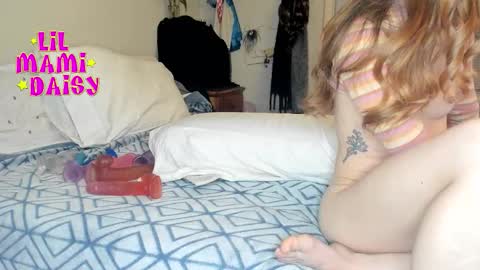 Snapshot of lilmamidaisy chatting on January 11, 3:22 am Daisy Bby online show from January 11, 3:22 am