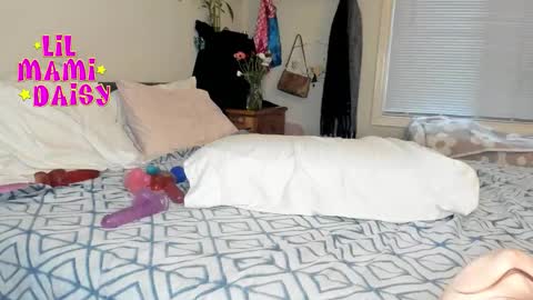 Snapshot of lilmamidaisy chatting on February 10, 1:10 am Daisy Bby online show from February 10, 1:10 am