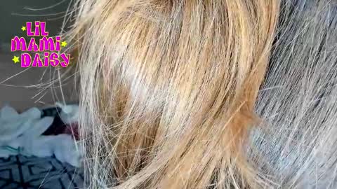 Snapshot of lilmamidaisy chatting on March 16, 3:01 am Daisy Bby online show from March 16, 3:01 am