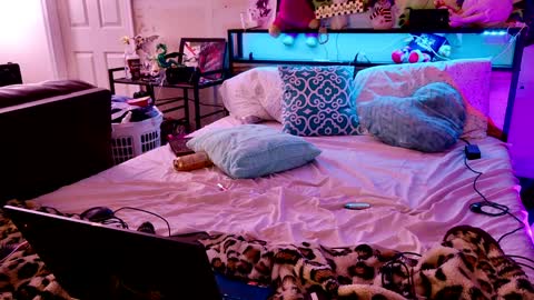 Snapshot of liltrannyslut chatting on January 25, 9:26 am jasmine spunn online show from January 25, 9:26 am