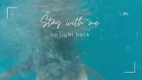 Lily online show from November 2, 6:27 am