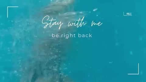 Lily online show from November 10, 6:45 am