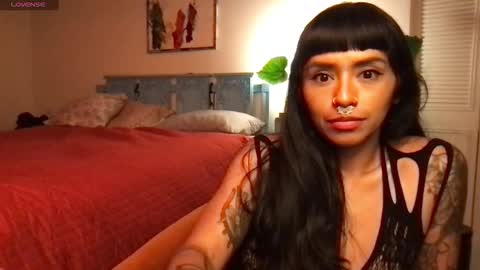 Snapshot of lily_henry chatting on November 5, 5:29 am Little Lily online show from November 5, 5:29 am