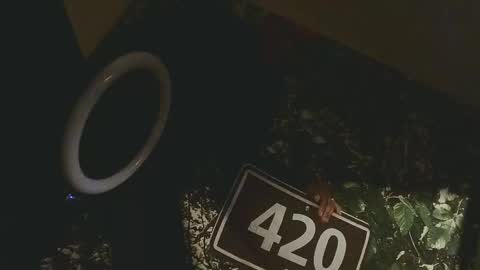 lilybvixen online show from February 25, 4:55 am