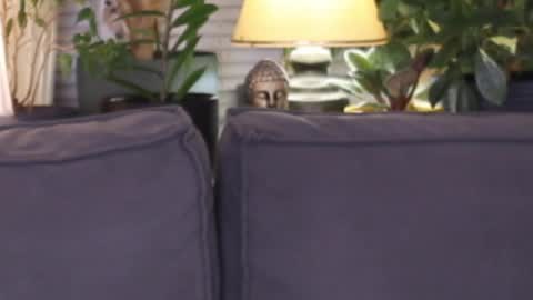 -- My Wishlist  online show from November 13, 3:55 pm