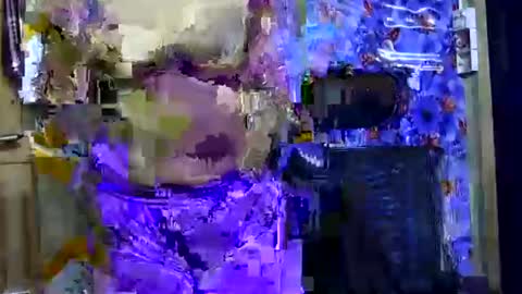 limaakter246618 online show from October 21, 4:41 pm