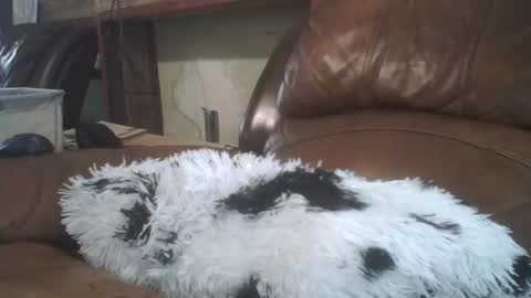 Richie Rich online show from February 20, 8:31 pm