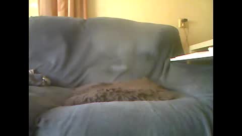 Snapshot of lion160868 chatting on October 26, 10:32 am lion160868 online show from October 26, 10:32 am