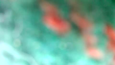 Snapshot of lionelearthquake chatting on March 11, 4:18 pm lionelearthquake online show from March 11, 4:18 pm