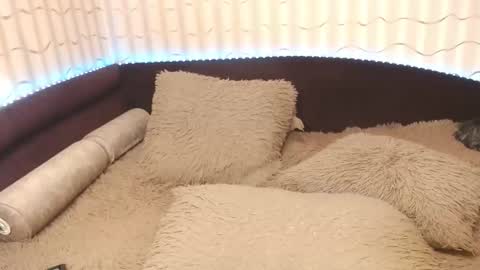 Snapshot of lipsaddiction chatting on October 20, 12:38 pm LIpsAddiction online show from October 20, 12:38 pm