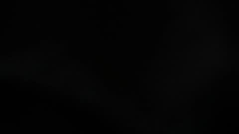 Lisa  online show from October 10, 11:31 am