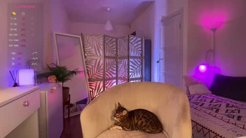 Snapshot of lisamaybe chatting on November 20, 4:40 pm Lisa online show from November 20, 4:40 pm