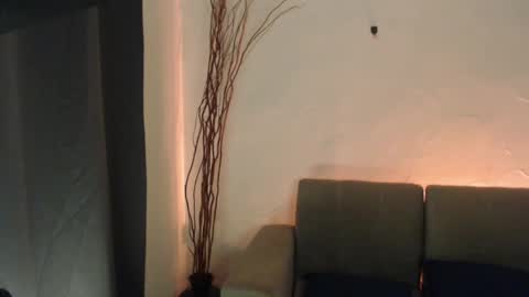  Liss  online show from January 15, 8:30 am