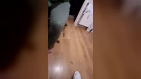littlebum85 online show from July 26, 10:38 pm