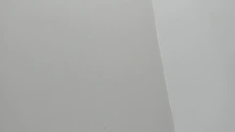 im olivia IG littleolivia01 online show from January 29, 12:45 pm