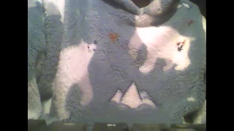 Snapshot of littlepaul2 chatting on February 14, 9:10 pm LittlePaul online show from February 14, 9:10 pm
