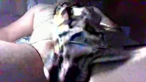 litwinpaweel online show from October 28, 8:22 pm