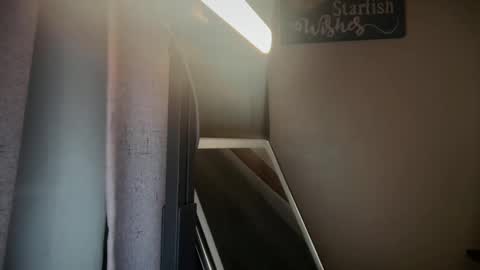 Liz Purr online show from September 23, 2:42 pm