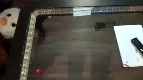 Snapshot of ljandcherry chatting on November 1, 7:21 am LjCherry online show from November 1, 7:21 am