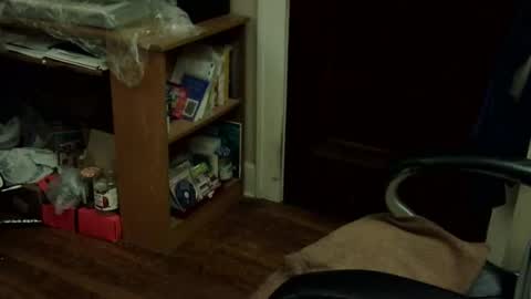 loades182025 online show from November 12, 3:40 am