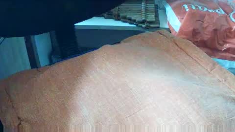 Snapshot of loboxavi chatting on September 19, 1:23 pm loboxavi online show from September 19, 1:23 pm
