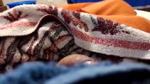 loganncky online show from March 19, 11:58 am