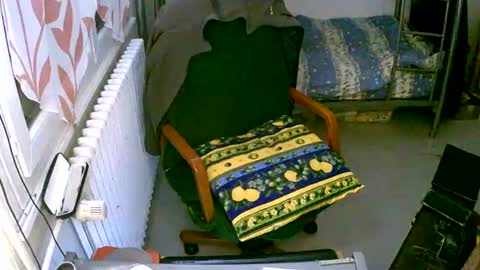 Snapshot of lokoum39 chatting on December 2, 5:15 pm lokoum39 online show from December 2, 5:15 pm