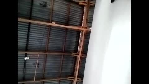 tey online show from November 12, 11:25 pm