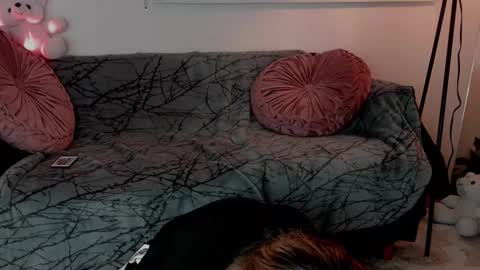 Lolly online show from February 24, 5:16 am