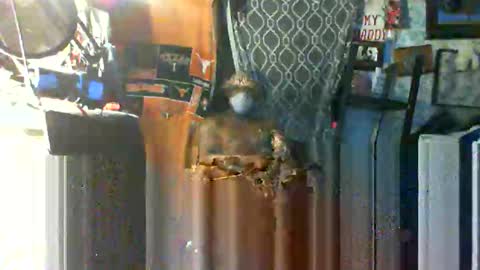 Snapshot of longloadedtx chatting on October 22, 9:42 am Mr. FogoDeChao online show from October 22, 9:42 am