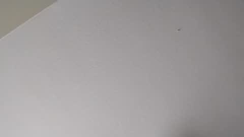 Mr. FogoDeChao online show from January 16, 11:09 pm