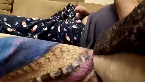 Snapshot of looking4bush chatting on December 23, 2:42 am looking4bush online show from December 23, 2:42 am