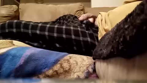 looking4bush online show from January 13, 3:34 am